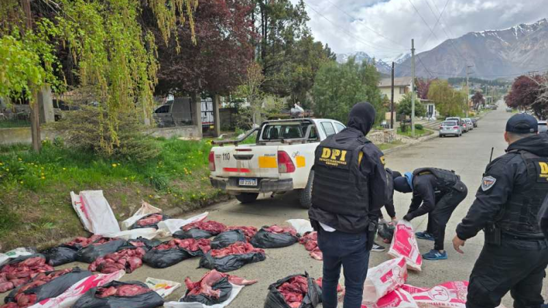 Carne en mal estado y cámaras frigoríficas: desarticulan un centro clandestino de acopio en Esquel