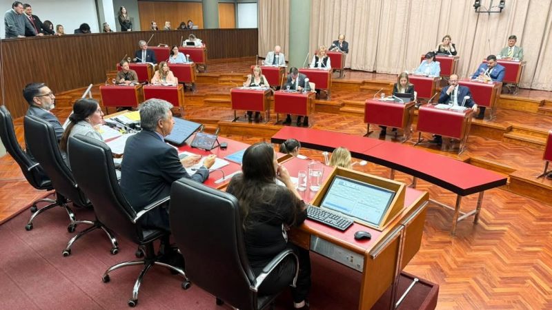 Polémica en la Legislatura: aprobaron como síndico de Petrominera a un hombre que no tendría el título profesional exigido por ley