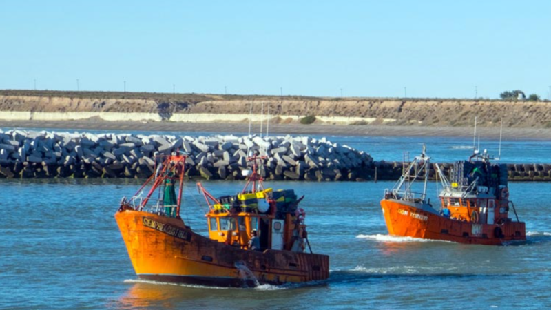 Más captura, pero sin langostino: Chubut cambia las reglas de la pesca artesanal