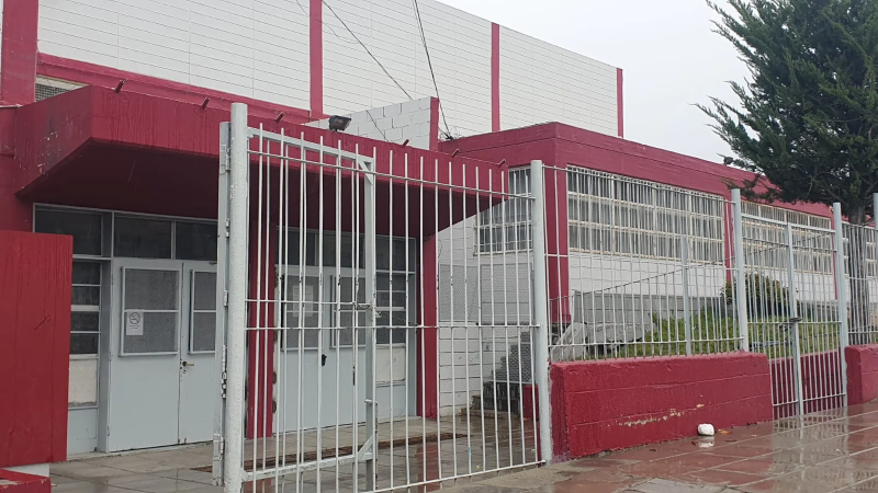 Plaga sin fin en la Escuela 711: suspenden las clases por la cuarta desinsectación del año debido a la invasión de chinches