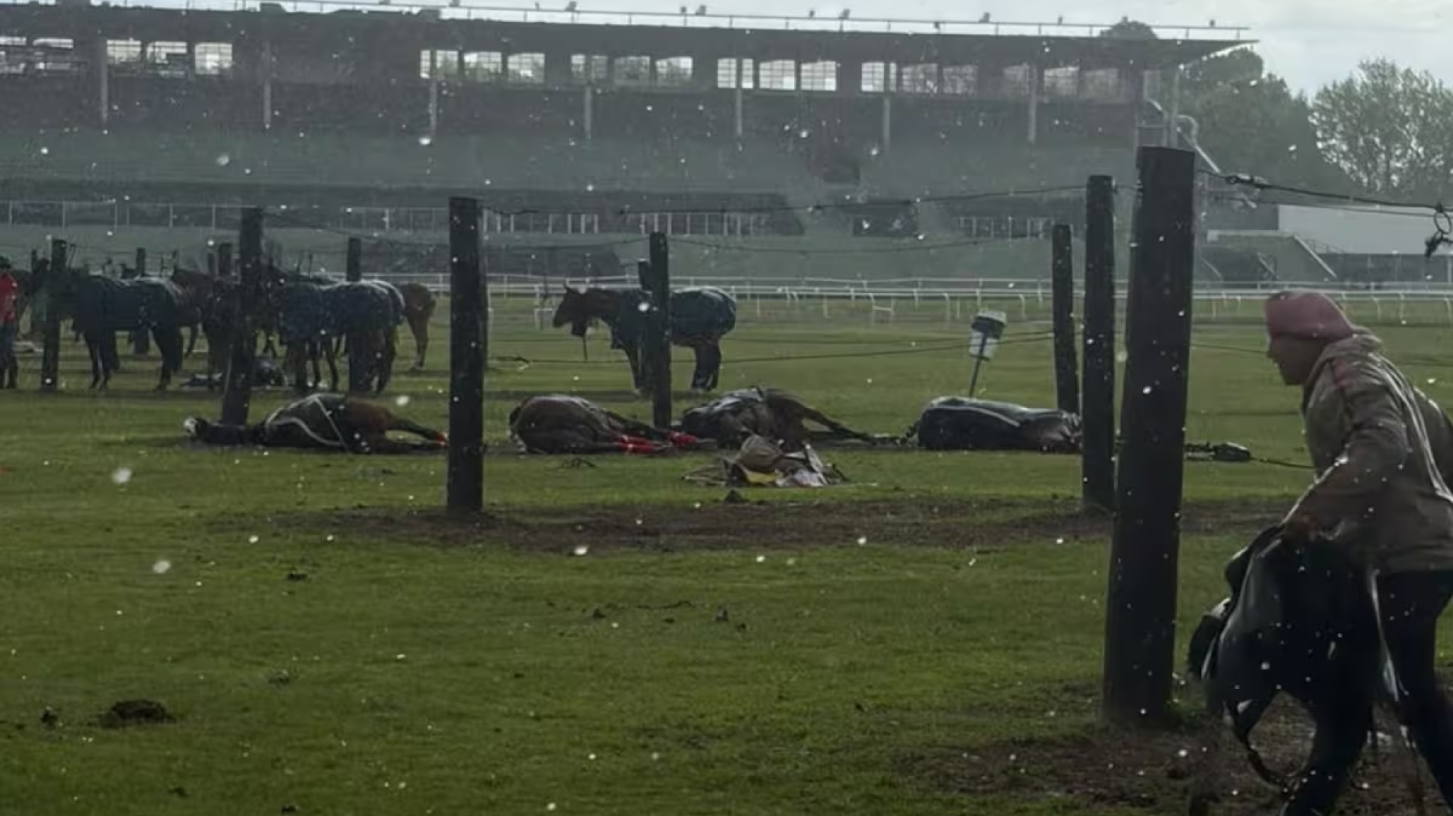 Tragedia en el Jockey Club: un rayo fulminó a cuatro yeguas de polo en plena cancha