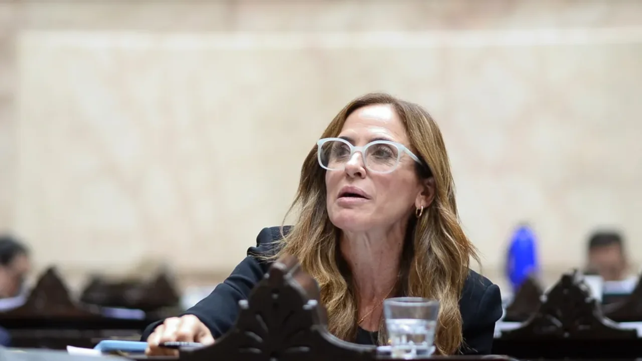 "Logramos dejar casi toda la emergencia dentro de la nueva ley": Tolosa Paz celebró el avance en discapacidad y reclamó garantizar los fondos