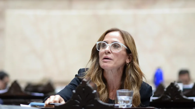 "Logramos dejar casi toda la emergencia dentro de la nueva ley": Tolosa Paz celebró el avance en discapacidad y reclamó garantizar los fondos
