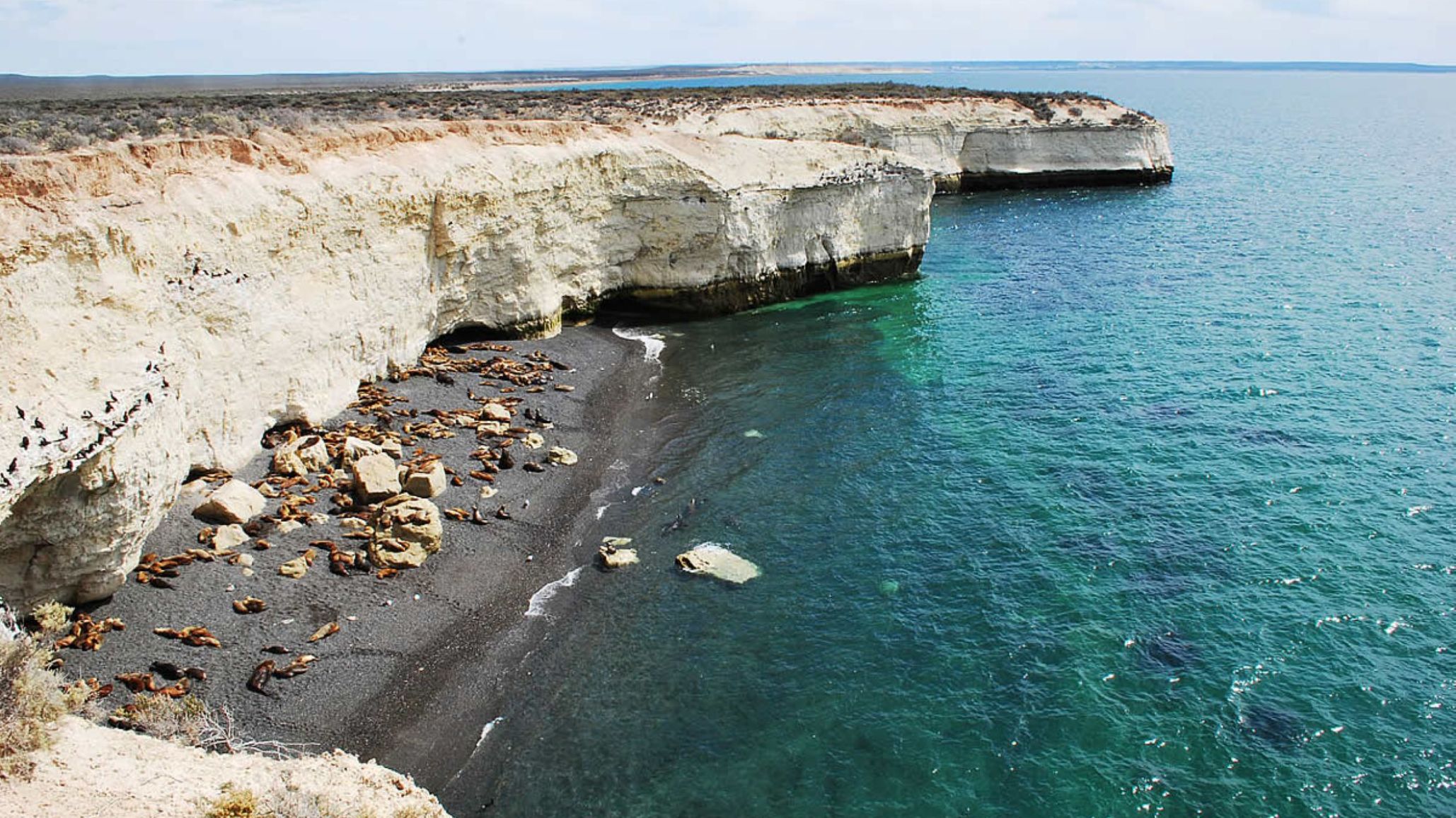Fin de semana con restricciones en Chubut: Punta Loma y Punta Tombo siguen cerradas por el barro