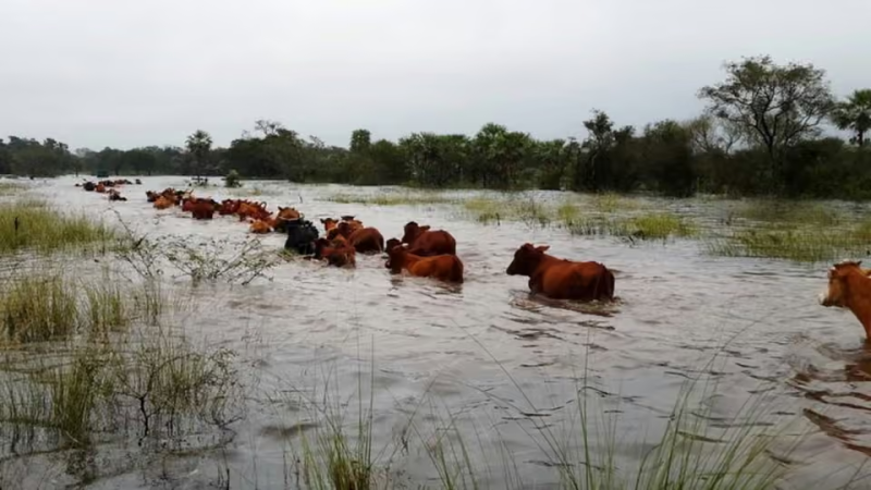 El Niño arrasa en Chaco y Corrientes: colapso por inundaciones, familias evacuadas y daños irreparables
