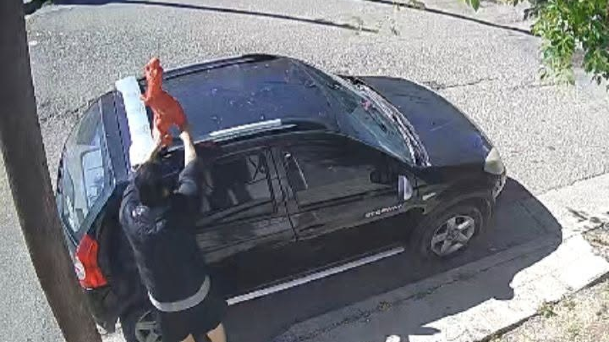 Una nena salió a pasear a su dinosaurio de juguete y un hombre se lo llevó: su familia pide que lo devuelvan