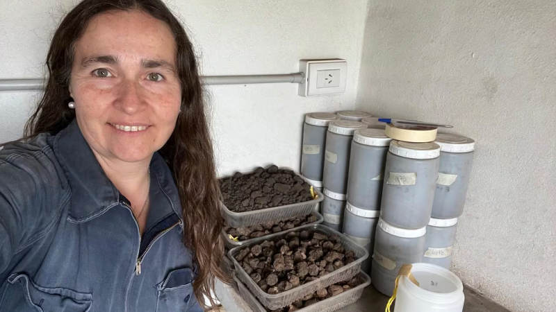 Echaron a la investigadora que halló rastros de agrotóxicos en la población tras un sumario del INTA
