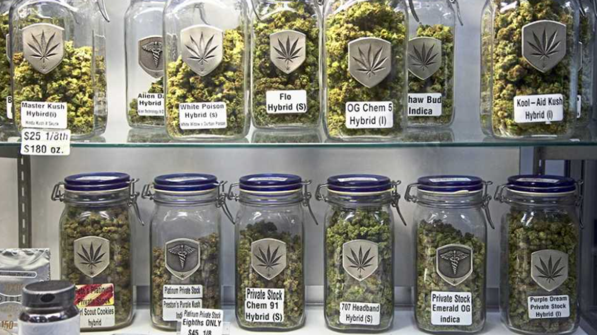 Cannabis en Chubut, qué empresas están detrás del nuevo negocio con potencial millonario