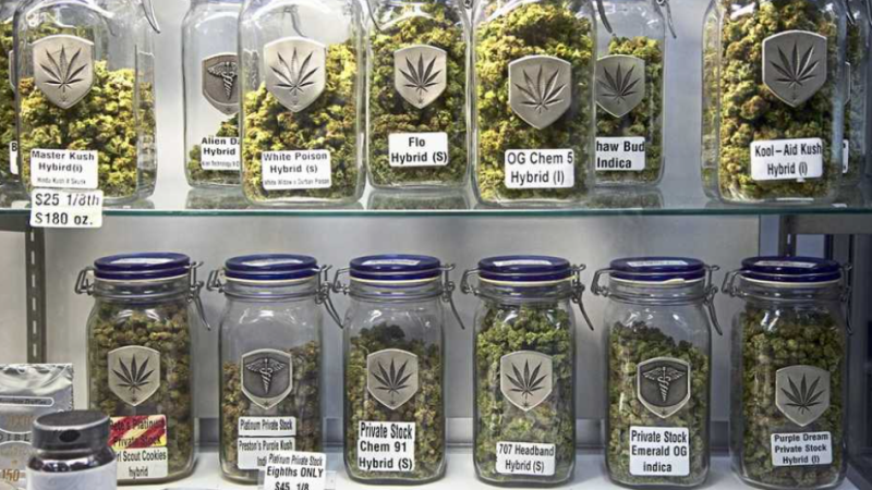 Cannabis en Chubut, qué empresas están detrás del nuevo negocio con potencial millonario
