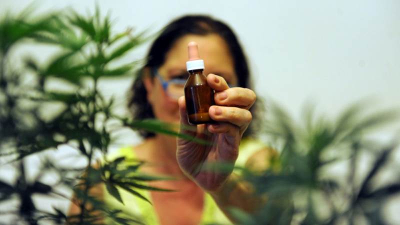 Cannabis medicinal en Chubut: "Las familias van a poder acceder gratuitamente a través de los hospitales"