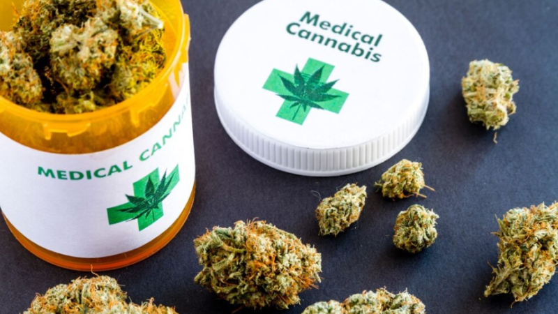 Chubut será la primera provincia del país donde se podrán comprar "cogollos" en las farmacias, pero con receta médica.