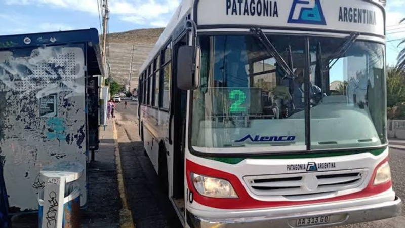 "Nos quedaríamos sin trabajo": 72 choferes de Patagonia Argentina siguen sin respuestas y apuntan al Municipio