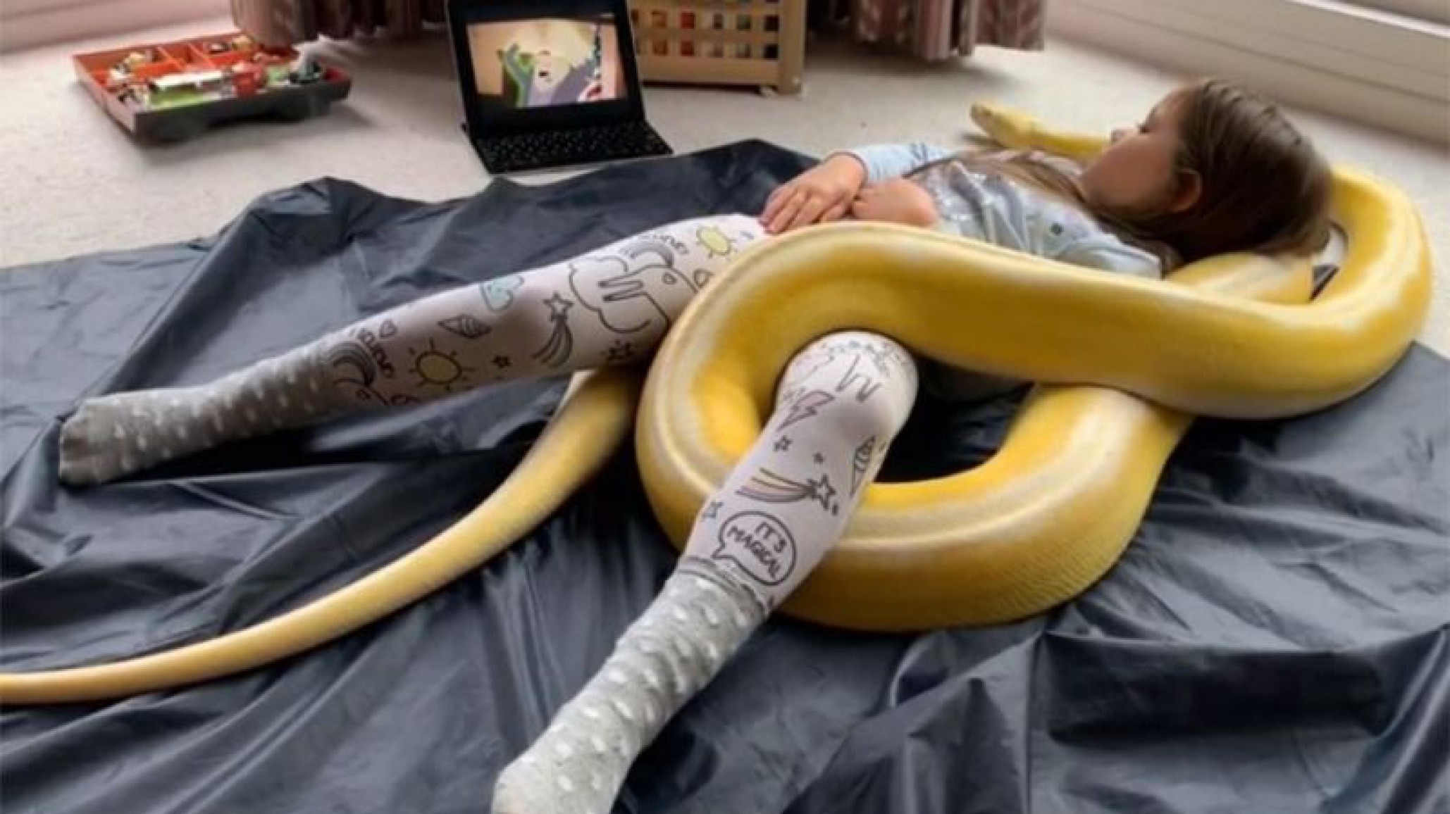 Las peligrosas mascotas de una niña