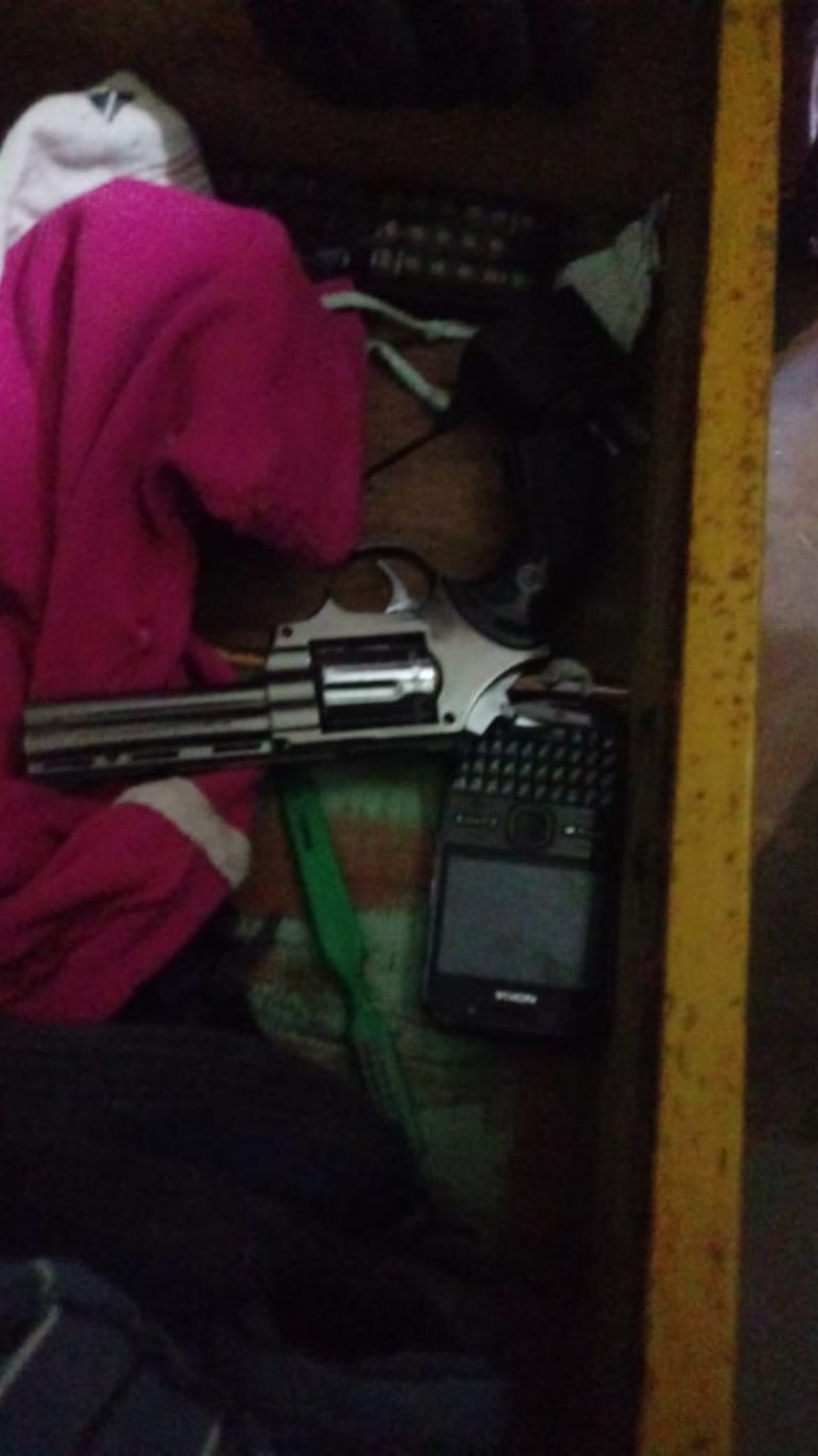 Allanamiento en Comodoro: Secuestraron un revólver con el que un ladrón le robó a un grupo de personas