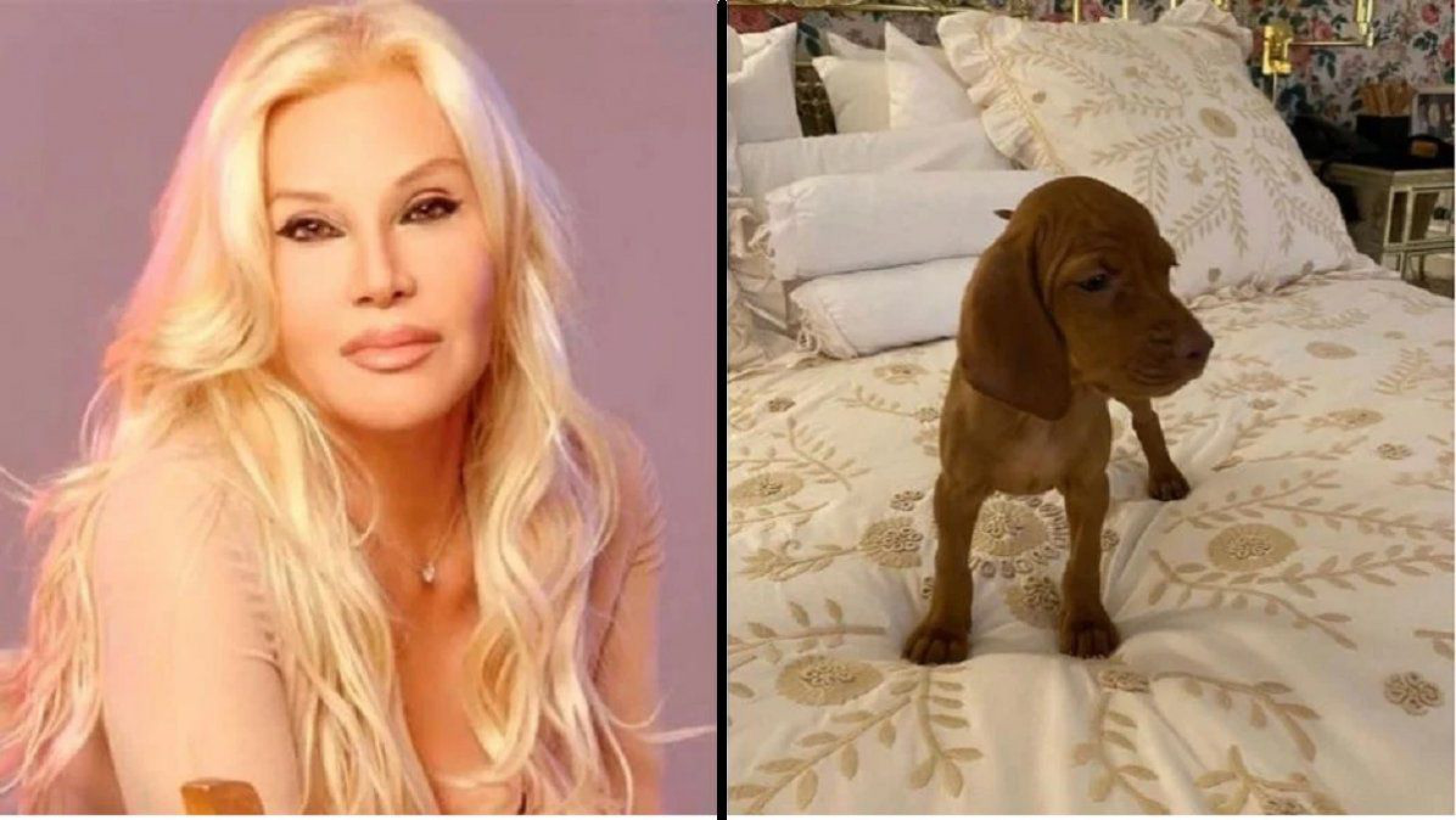 Susana Giménez saludó a sus mascotas, ¿se acordó de Rita?