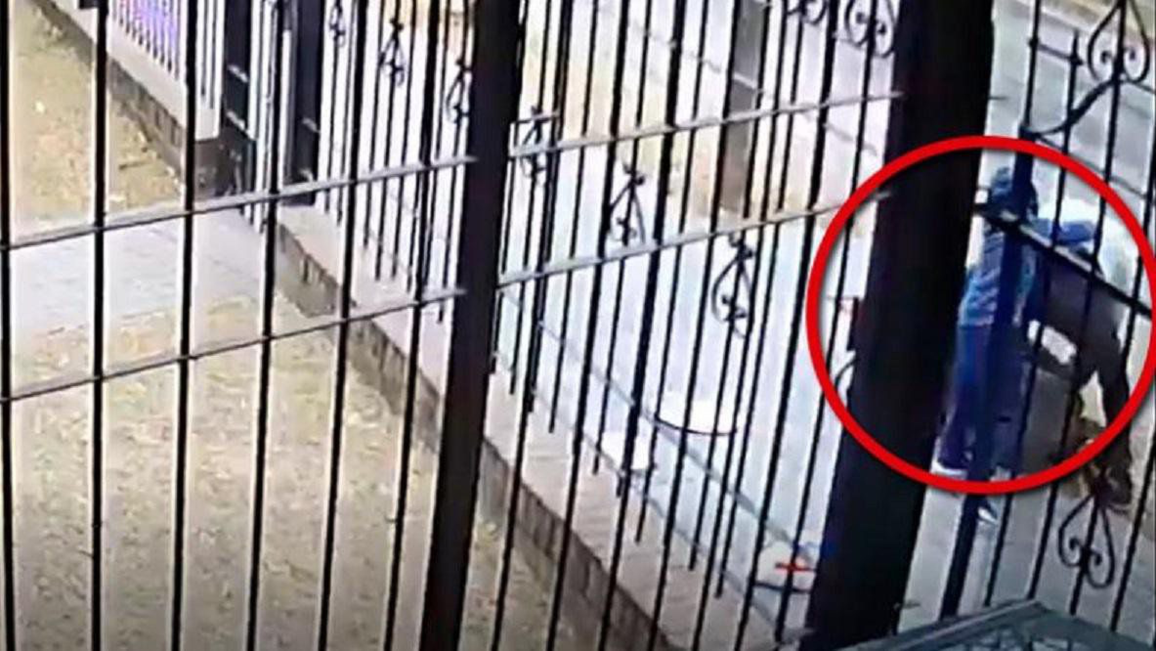 Nene de 5 defendió a su mamá de un robo