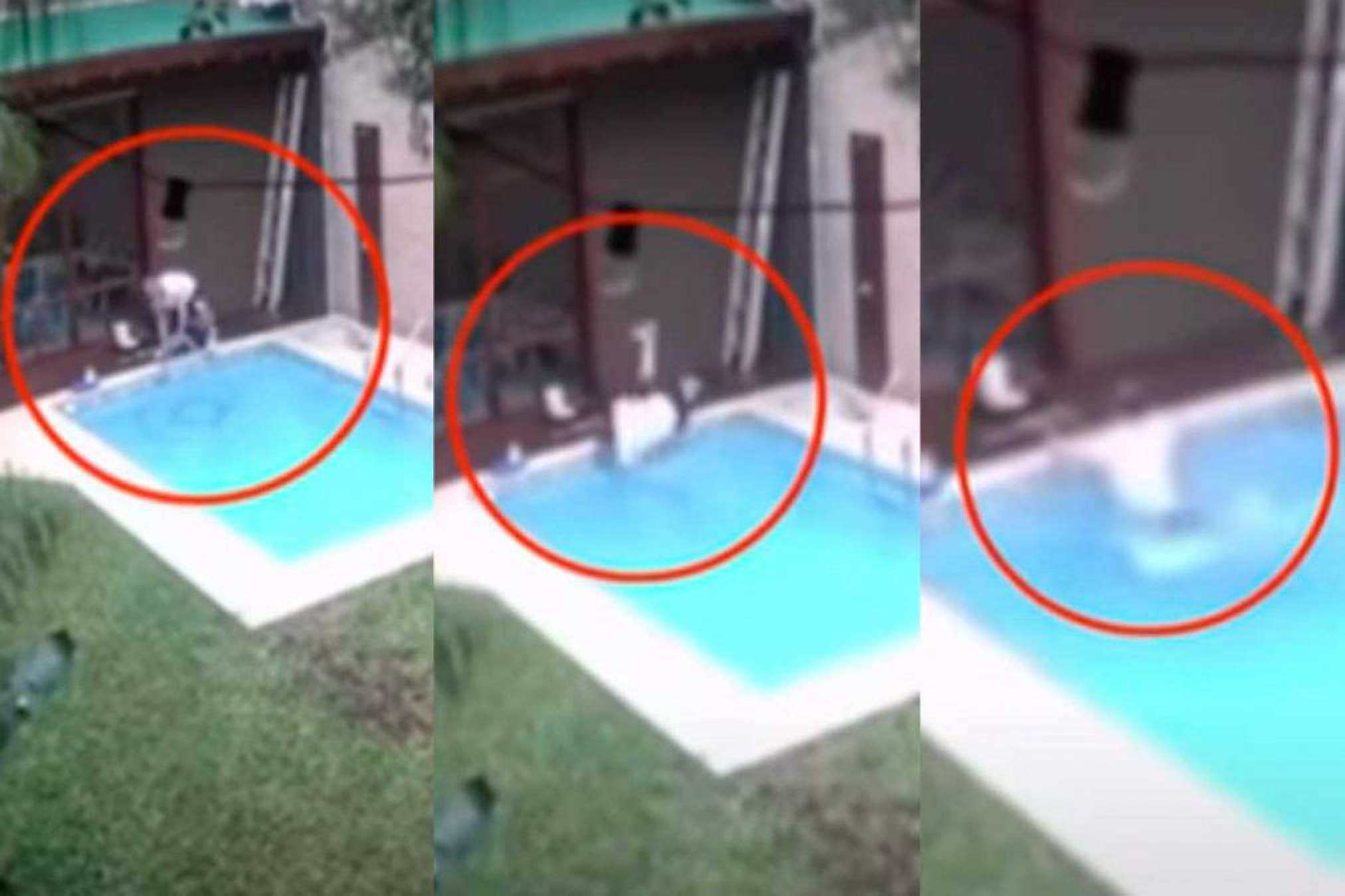 Lourdes Sánchez mostró un desopilante accidente del Chato Prada limpiando