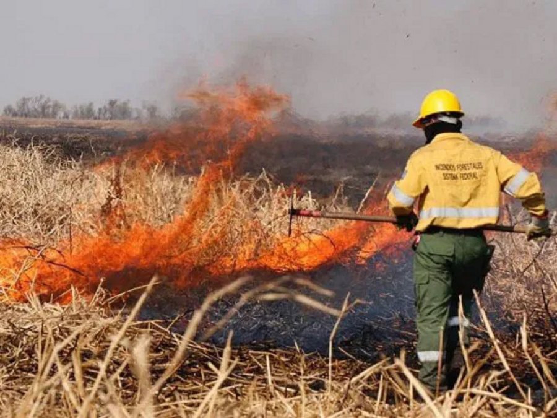 Incendios forestales: otorgarán a brigadistas un bono de 10 mil pesos por tres meses