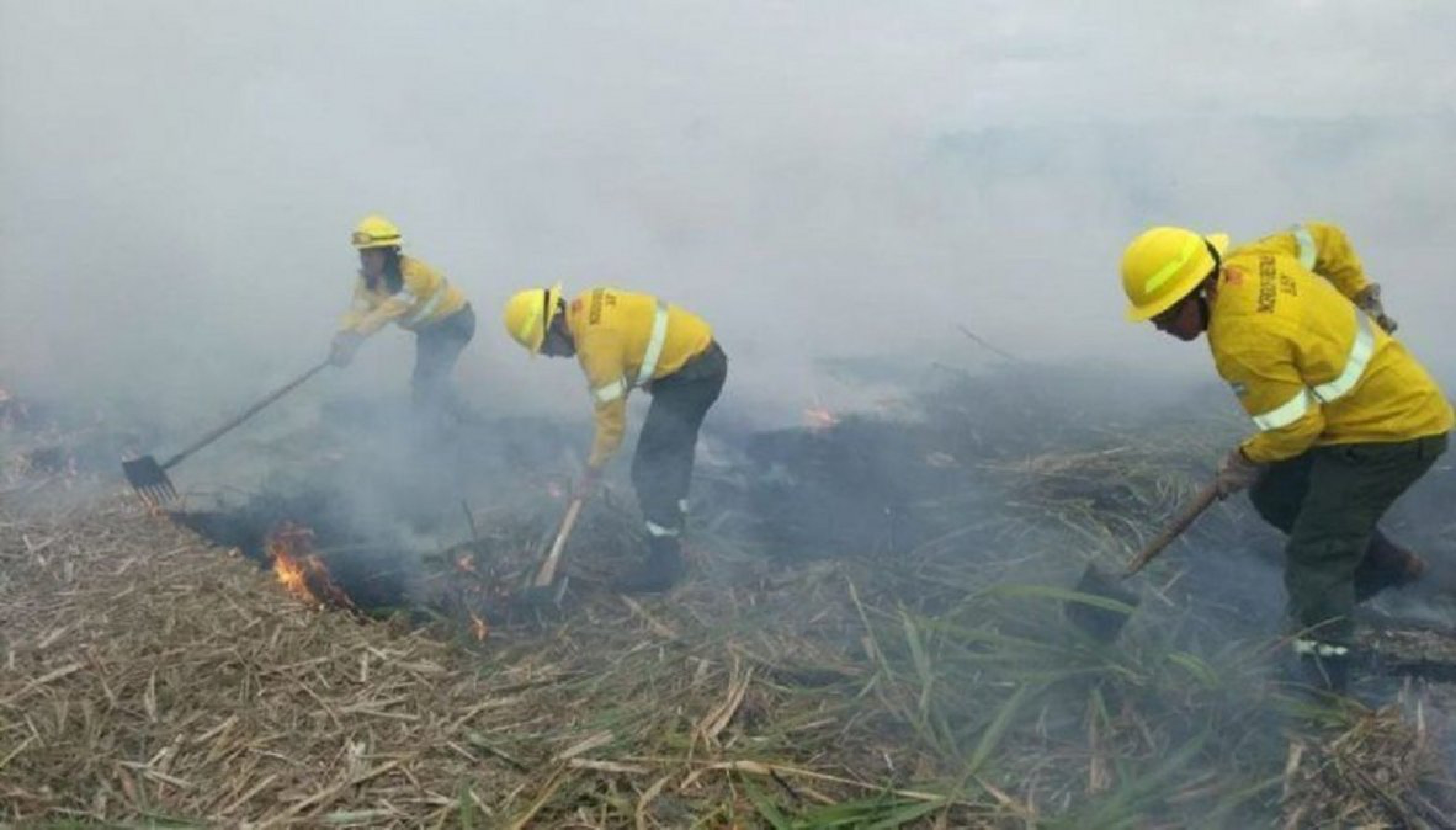 Misiones y Jujuy severamente afectadas por los incendios
